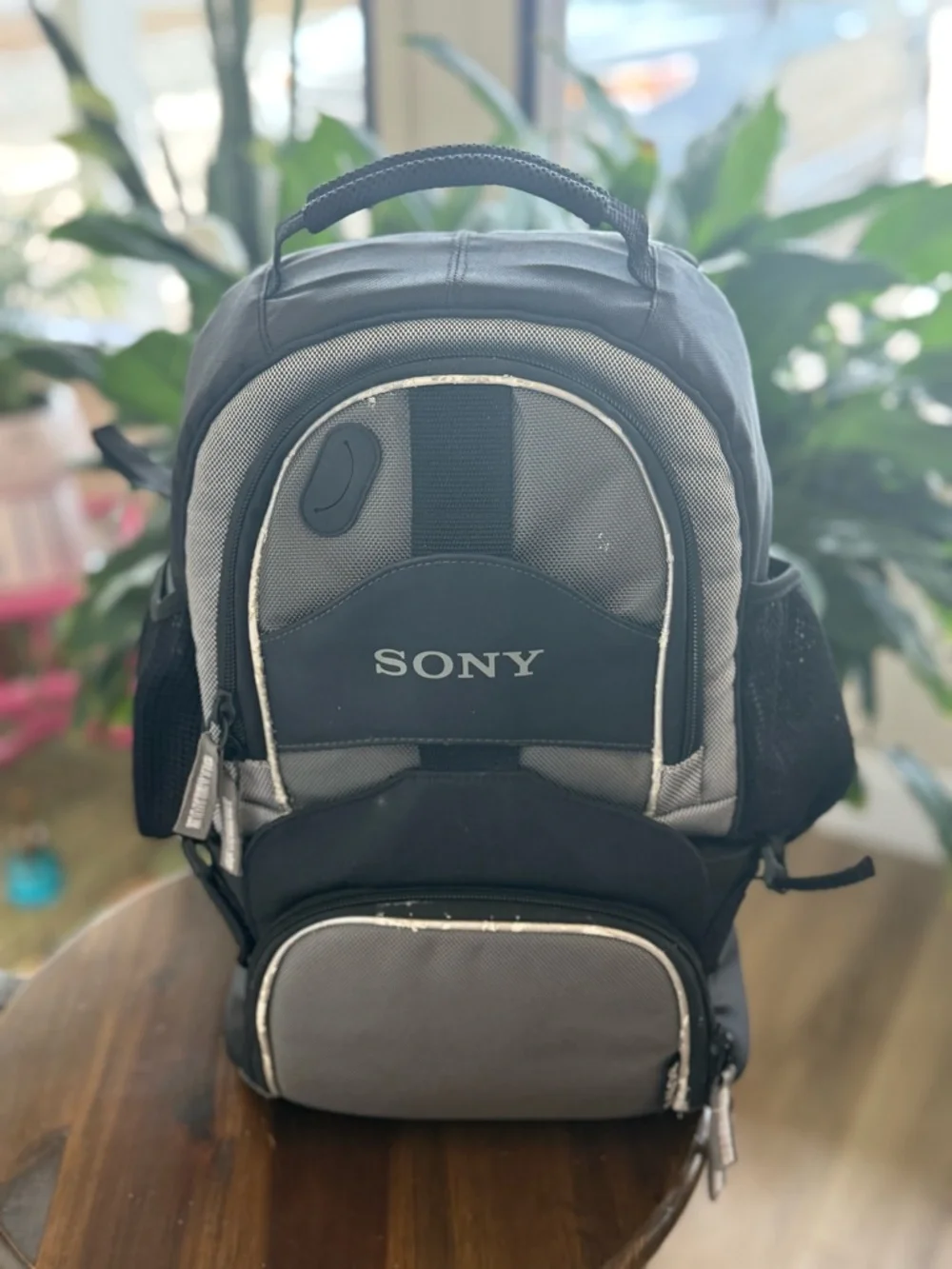 Sony Handheld Digital Camcorder in Silver and Black
